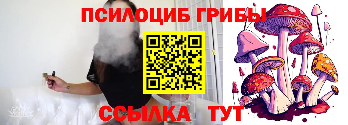 Вичуга  Галлюциногенные грибы MAGIC MUSHROOMS  Вход с VPN 